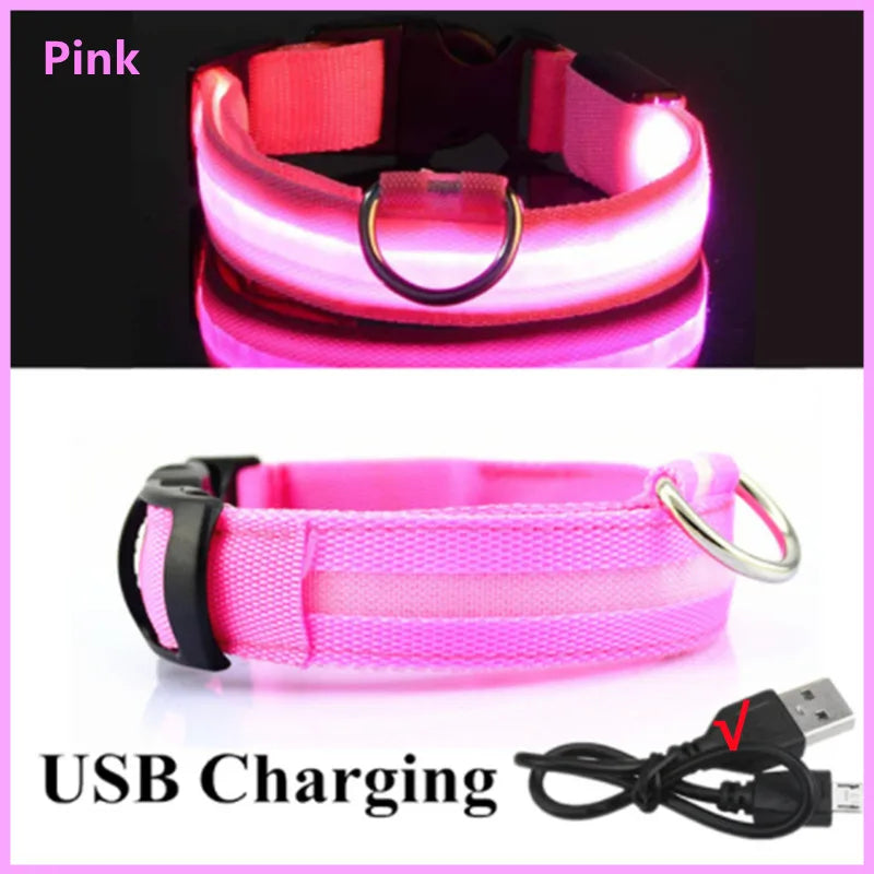 Rechargeable waterproof LED dog collar, ensuring pet safety at night. Vitoi-Store