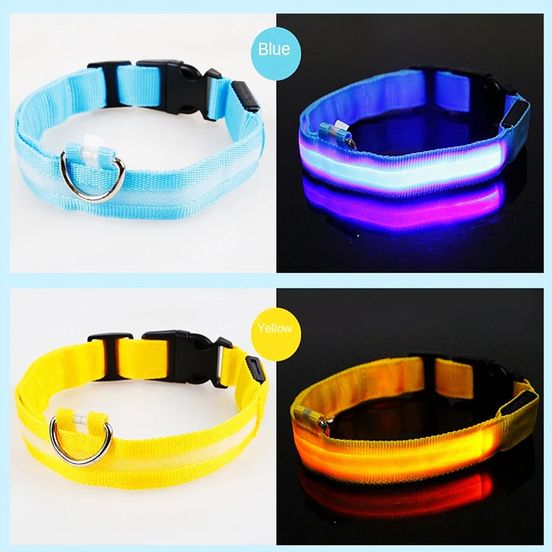 Rechargeable and adjustable LED safety collar for small and large pets. Vitoi-Store