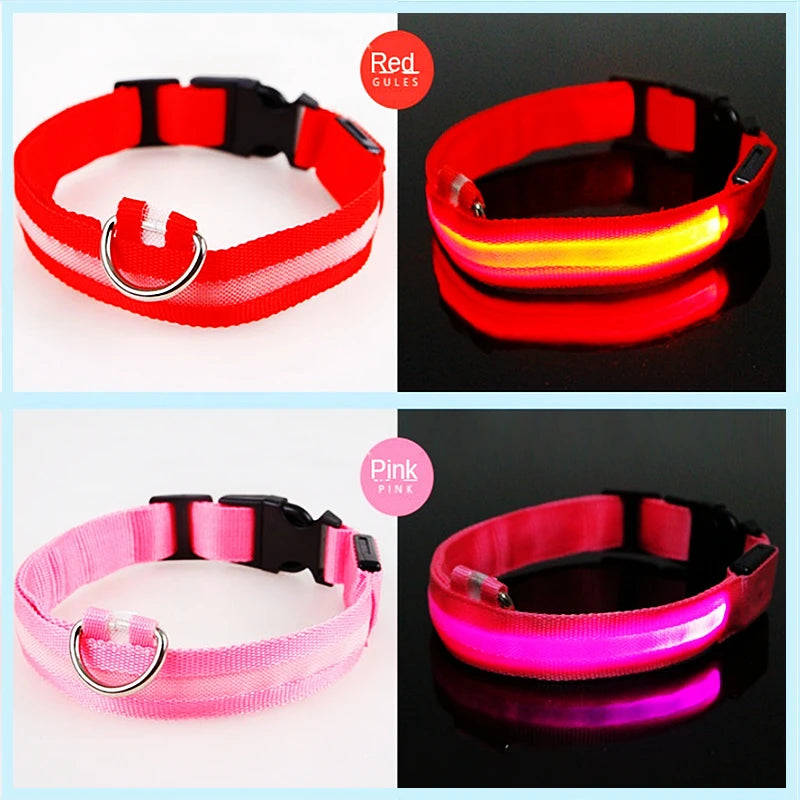 Stylish and functional LED pet collar, designed for maximum night visibility. Vitoi-Store