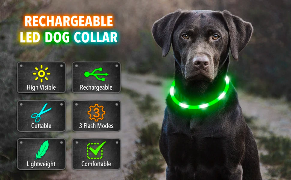 Durable LED dog collar with rechargeable battery and waterproof design. Vitoi-Store