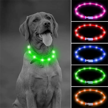 Durable LED dog collar with rechargeable battery and waterproof design. Vitoi-Store