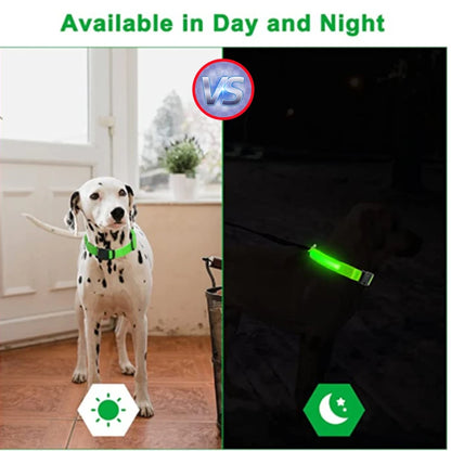 Reflective LED pet collar with bright light for enhanced safety of dogs and cats during evening outings. Vitoi-Store