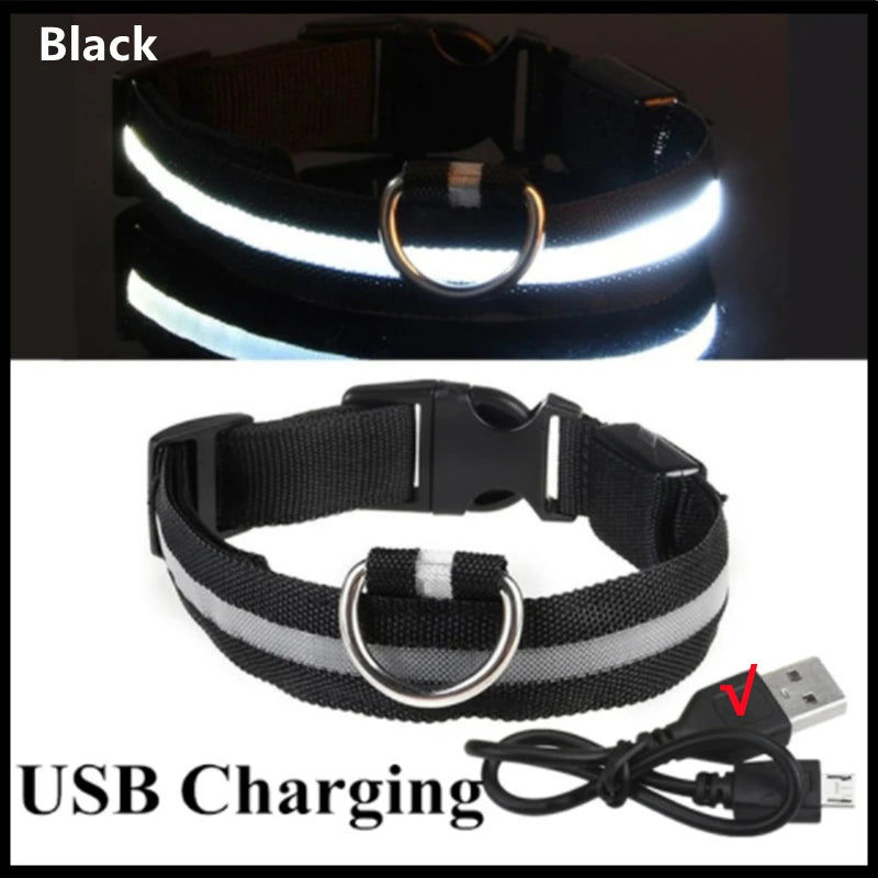 Durable and stylish glowing pet collar with LED lights for safety. Vitoi-Store