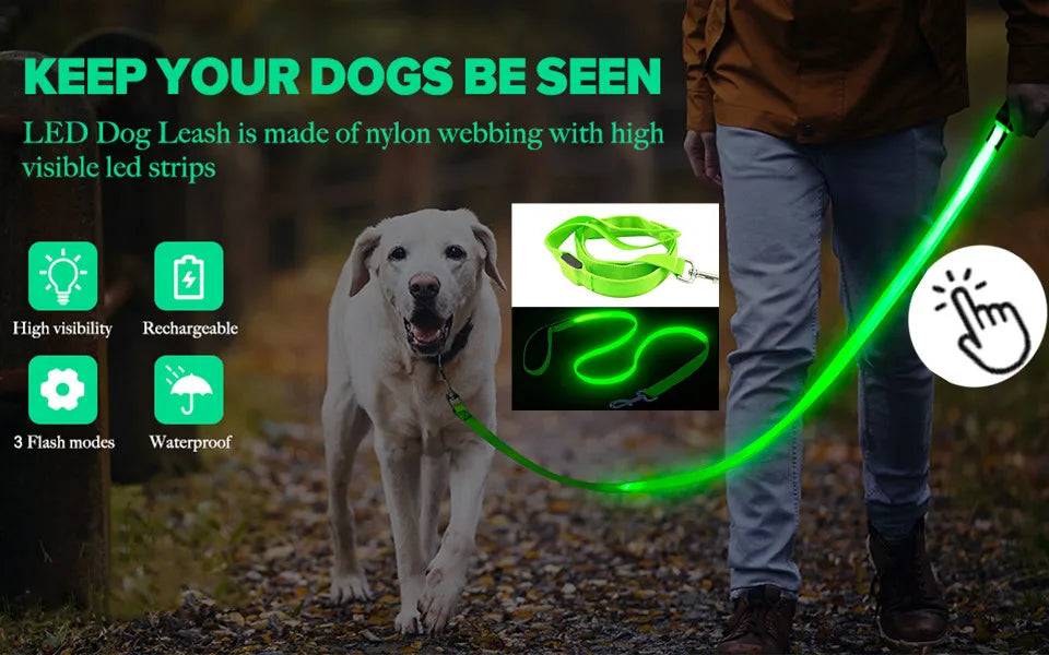 Waterproof and durable LED glowing collar for pets, perfect for improved nighttime visibility. Vitoi-Store